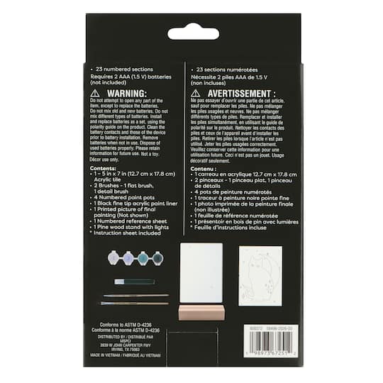 Light Up Black Cat Paint-by-Number Acrylic Surface Kit by Artist's Loft®
